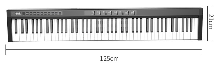 Tastatura electronica (pian) 125cm