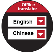 traducere offline langie