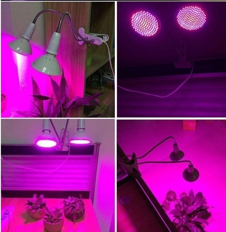 lumină artificială pentru plante