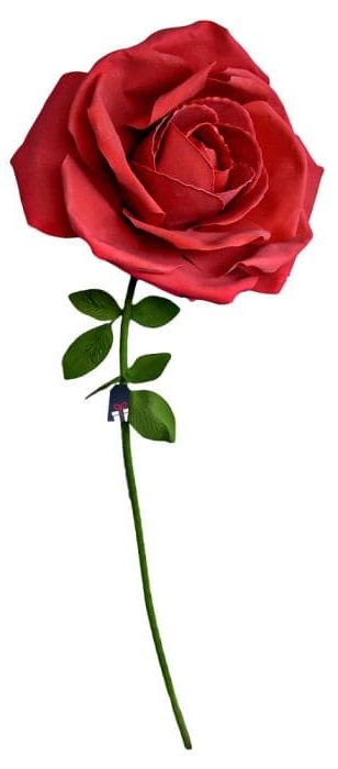 Trandafir imens XXL - Trandafiri ca cadou pentru o femeie