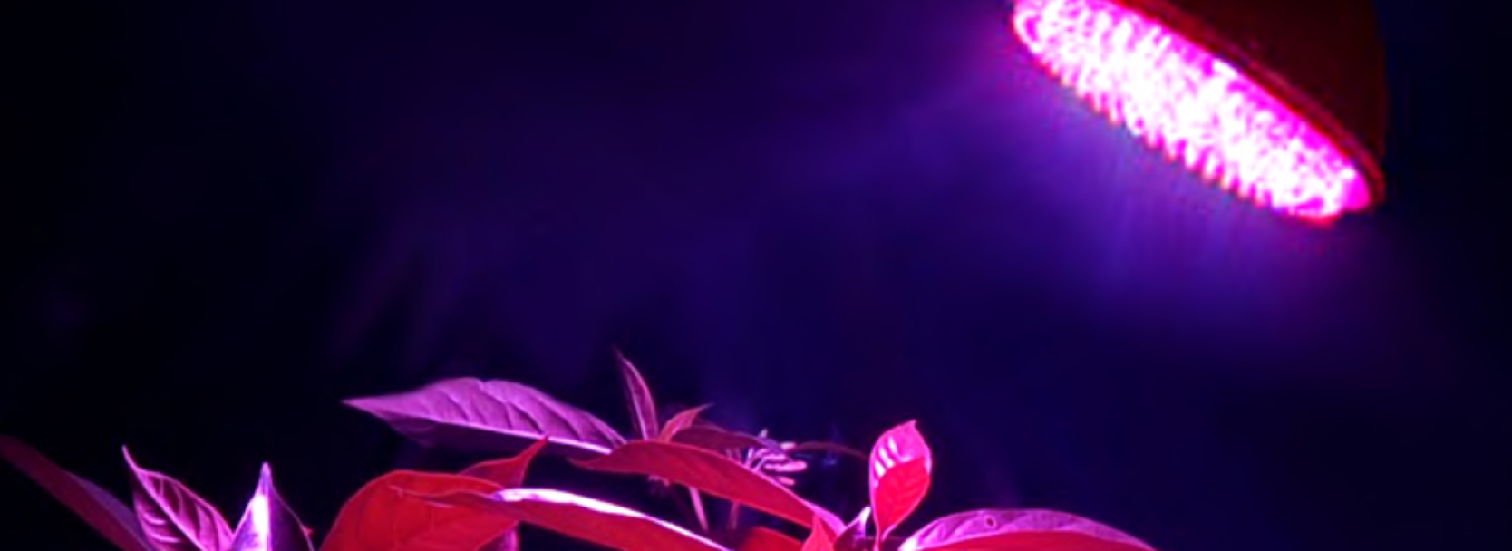LED lampă de plante
