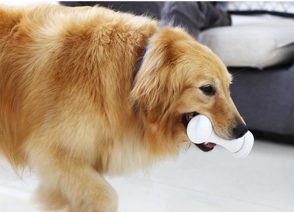 jucărie cu oase inteligente pentru câini os rău